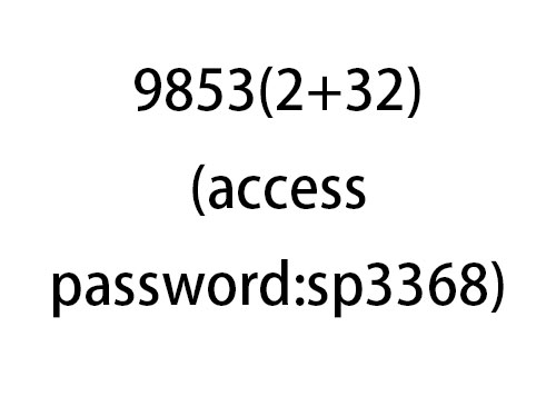 9853(2+32)(access password:sp3368)