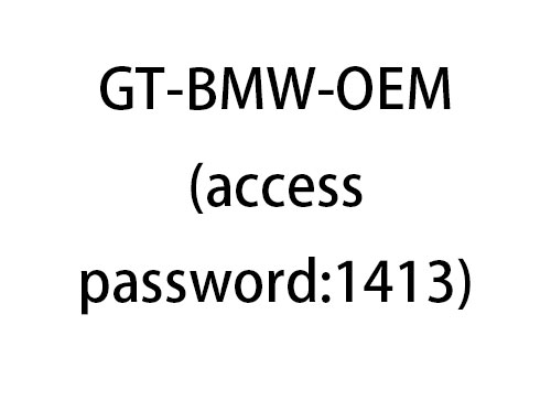 GT-BMW-OEM(access password:1413)