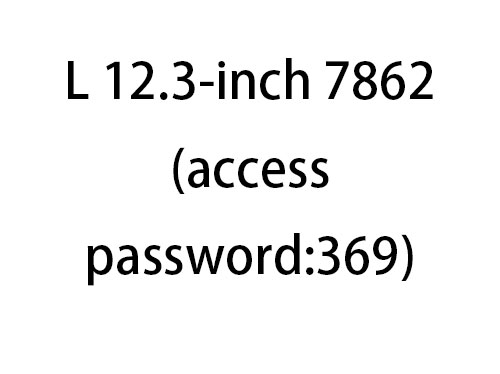 L 12.3-inch 7862(access password:369)