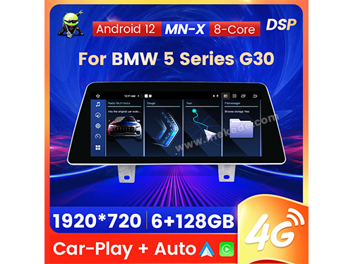 BMW G30 10.25inch
