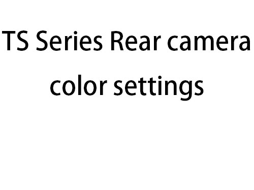 TS Series Rear camera color settings